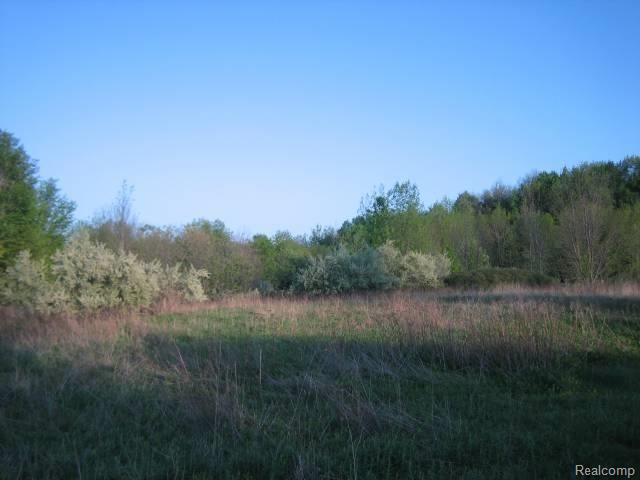 Par D Lum Road Attica, MI 48412 - Photo 2 of 7 Lum Rd #2