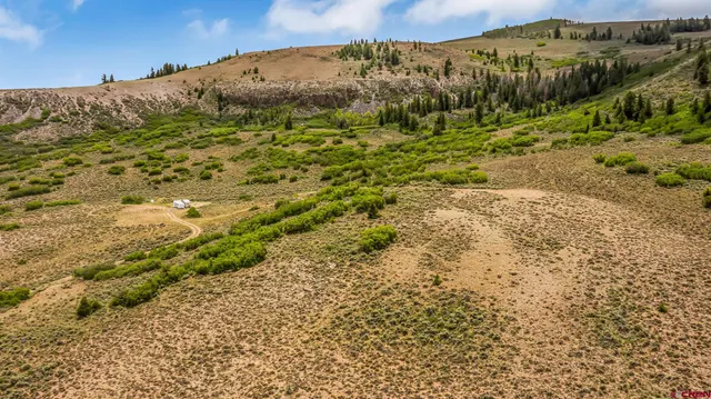 a view of a bunch of trees and bushes