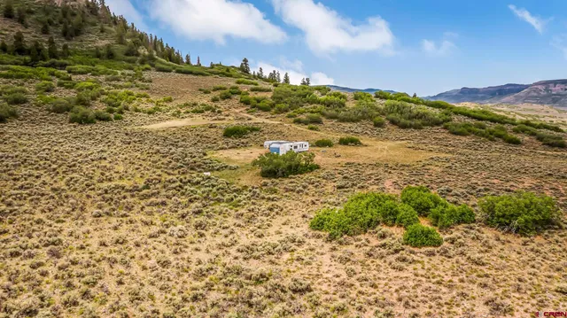 a view of a forest with a mountain
