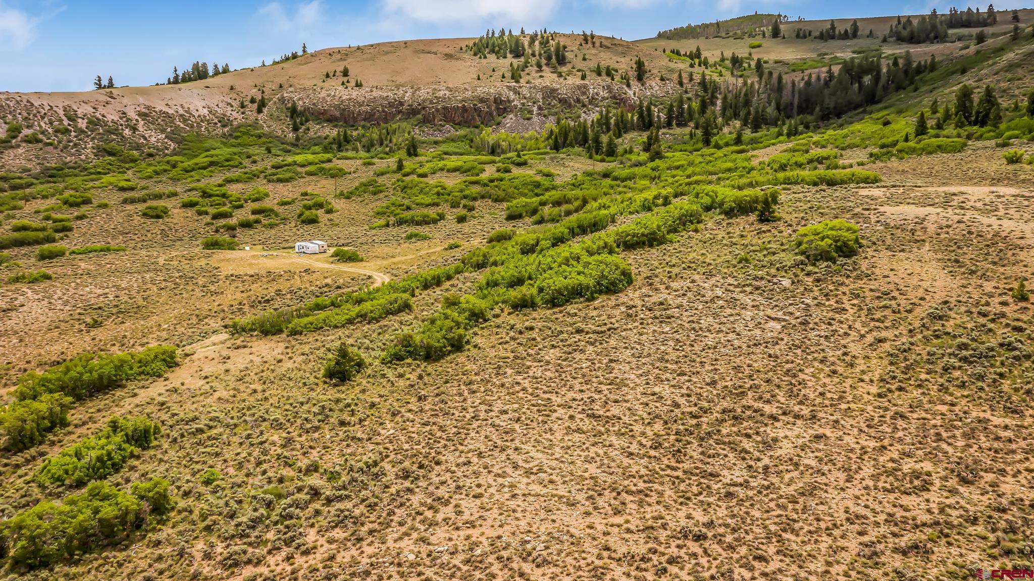 3610 6200 Road Olathe, CO 81425 - Photo 18 of 24 a view of a forest with a mountain