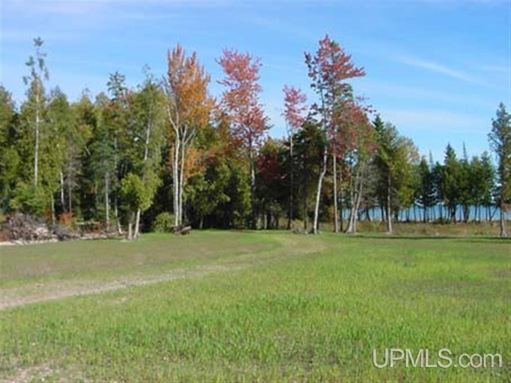 Tbd Co Rd 435 Common Manistique, MI 49854 - Photo 5 of 14