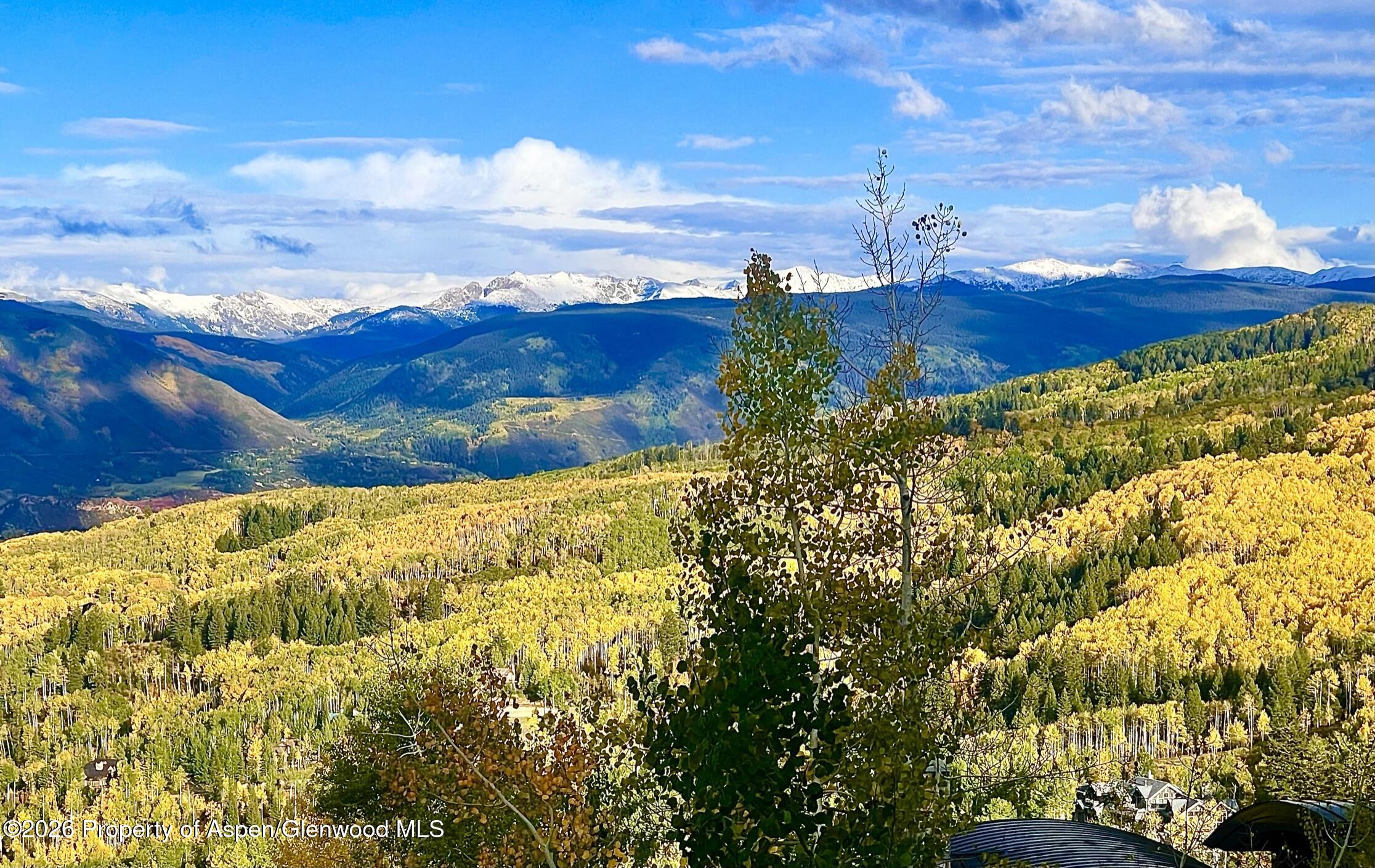 1592 Faraway Road Snowmass Village, CO 81615 - Photo 50 of 55 IMG_2147