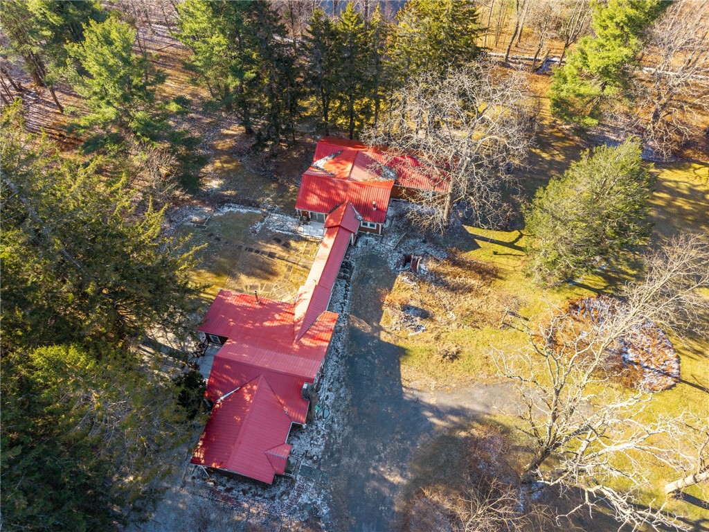 403 Blueberry Hill Road Broome, NY 12122 - Photo 2 of 50