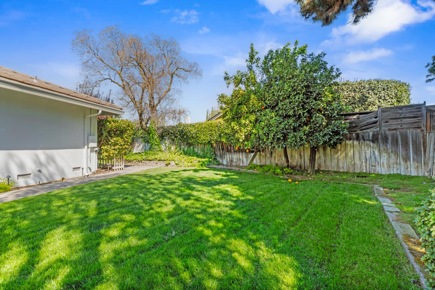 908 Newcastle Court Modesto, CA 95355 - Photo 17 of 25 a view of backyard with a barn and large trees