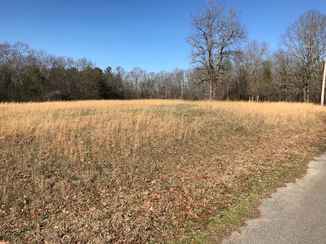 1885 Clifft Road Bolivar, TN 38008 - Photo 22 of 25 Gallery Image 22