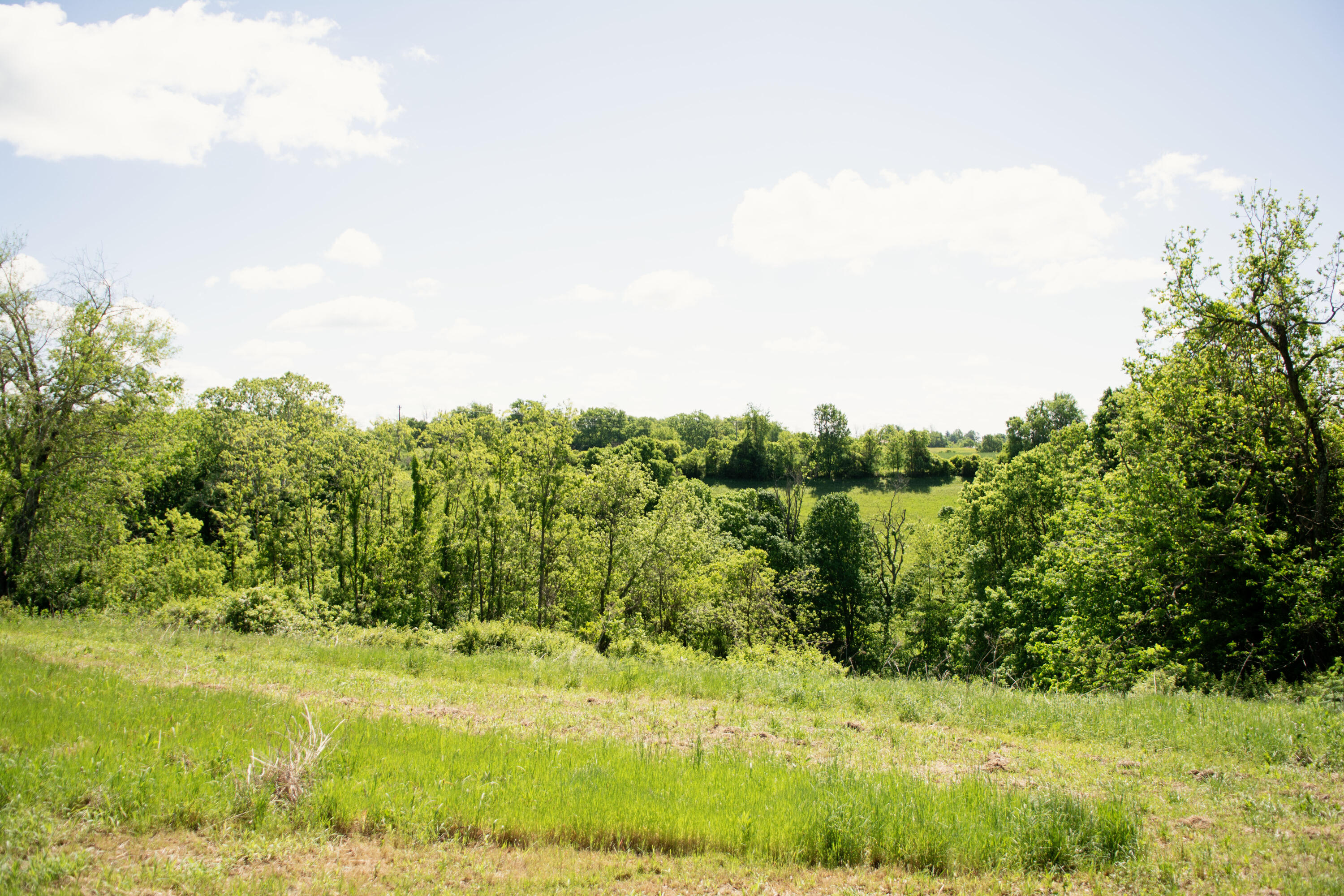 9733 Buckeye Road Lancaster, KY 40444 - Photo 19 of 31 DSC_2013 copy