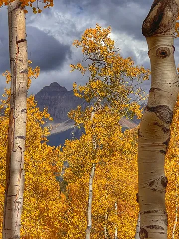 a view of a city from a building