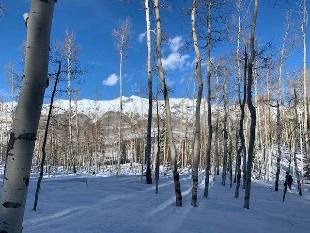 a backyard of a building