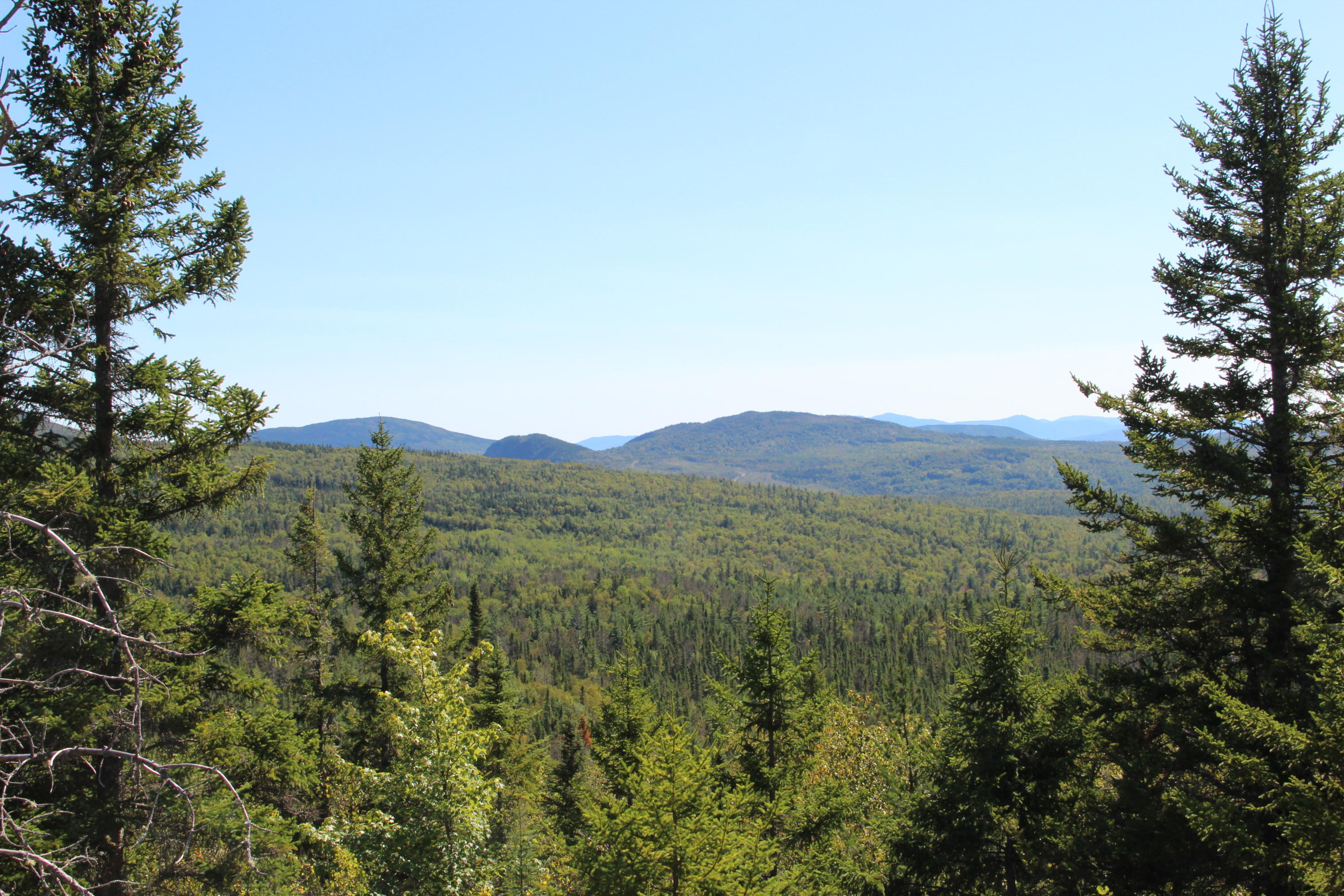 10 Racoon Lane West Forks, ME 04985 - Photo 17 of 44 view-from-back-lot-high-point_4682542429