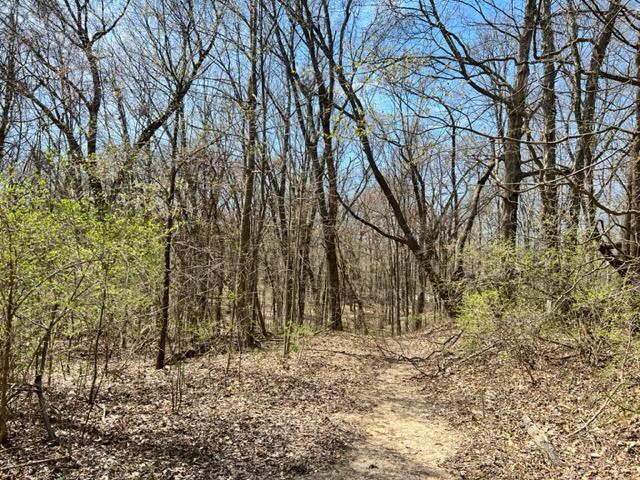 61258 Woodlake Road Three Rivers, MI 49093 - Photo 5 of 6 IMG_2899
