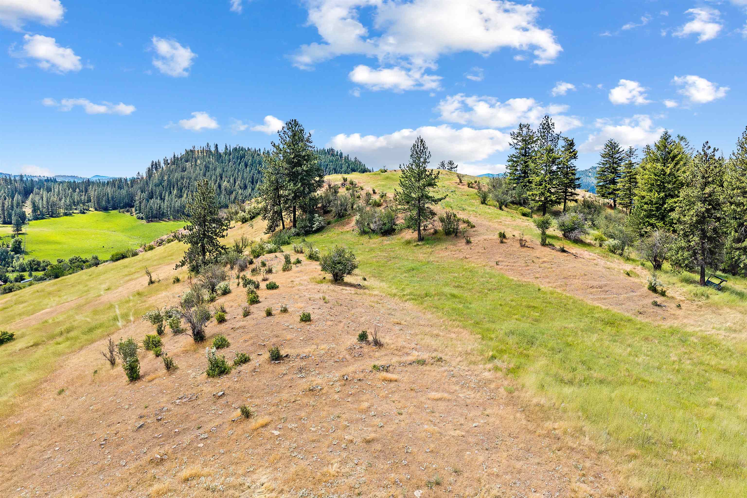 4925 Melin Road Hunters, WA 99137 - Photo 48 of 49