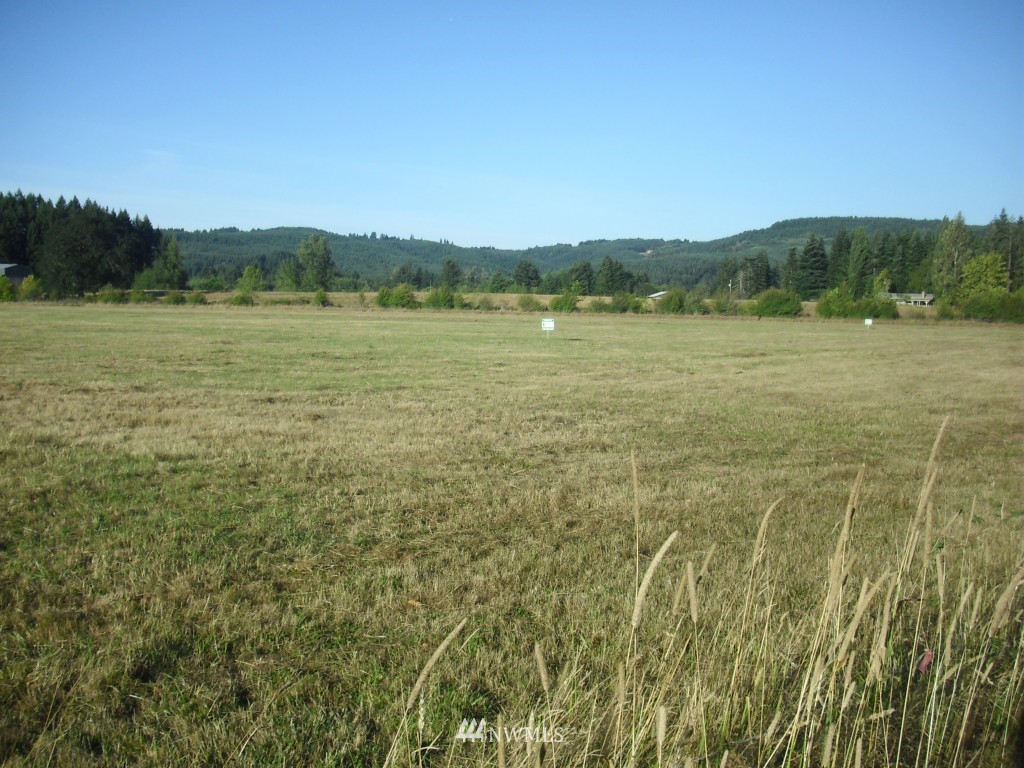 X Boistfort Road Curtis, WA 98538 - Photo 1 of 1