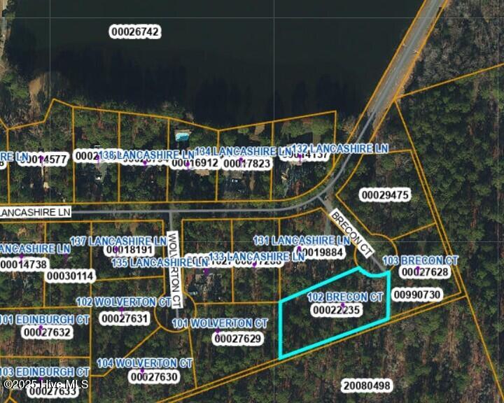 102 Brecon Court West End, NC 27376 - Photo 3 of 3 Screenshot 2025-10-27 065227