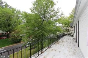 a view of a pathway of a park with large trees