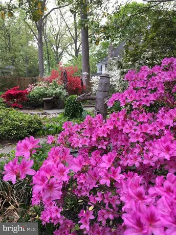 a view of a flower arrangement in a yard