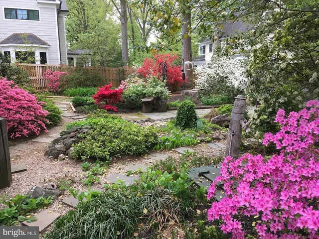 a small garden covered with flower plants
