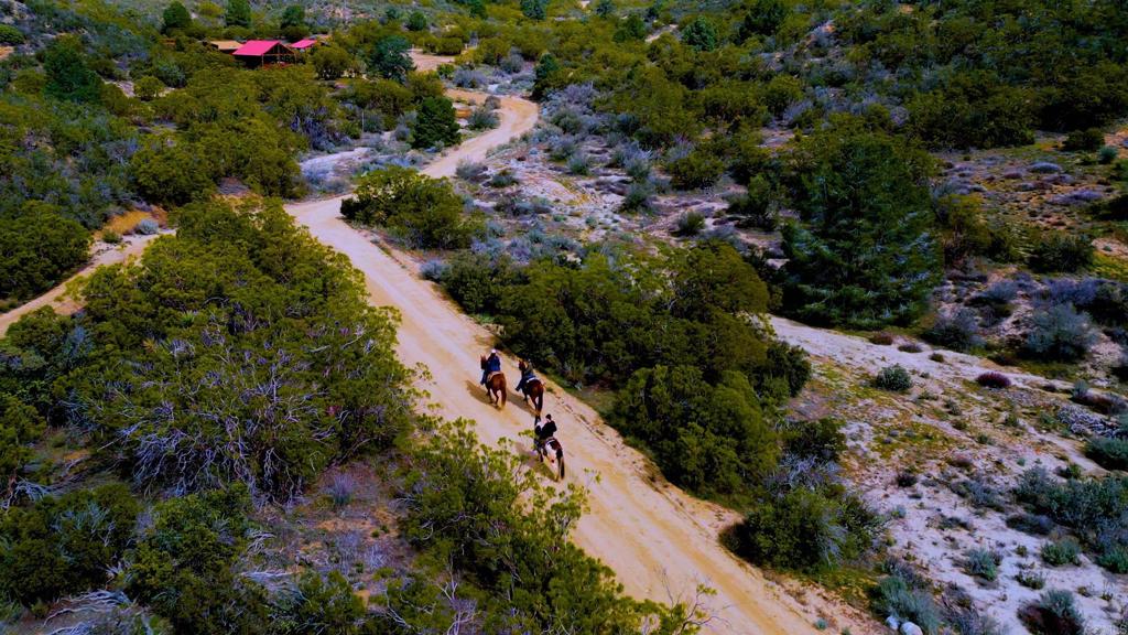 36750 Upper Valley Road Anza, CA 92539 - Photo 34 of 50