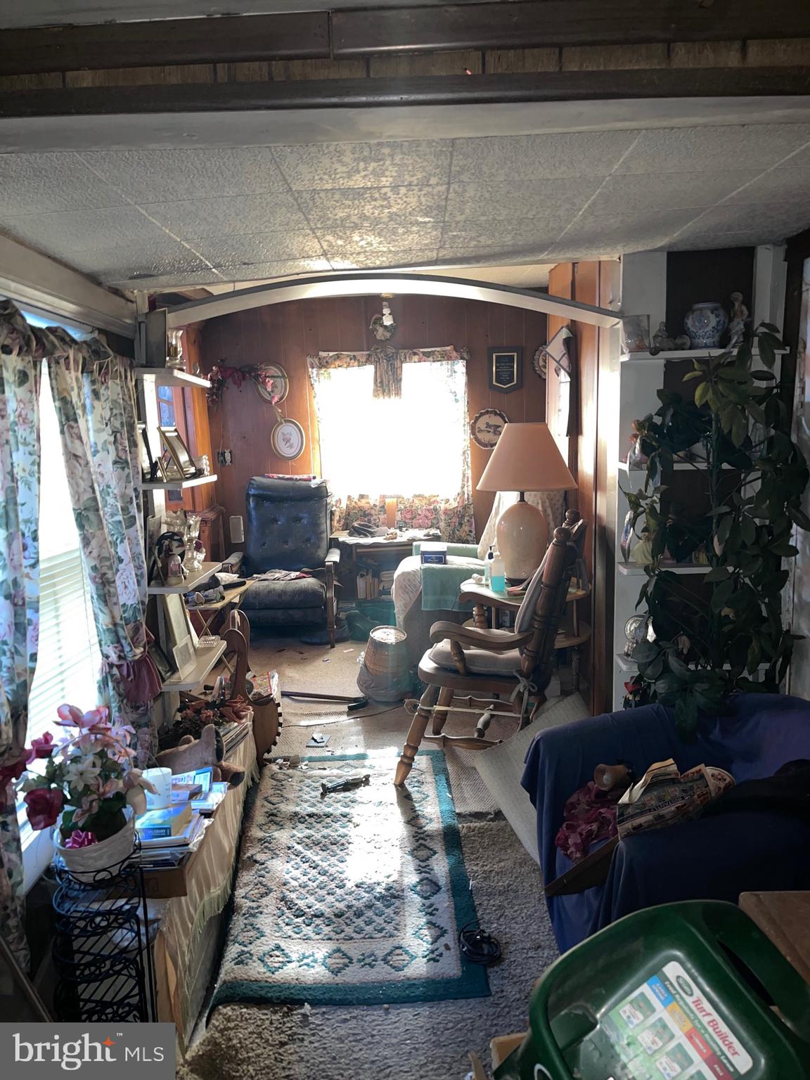 12173 Laurel Road Mardela Springs, MD 21837 - Photo 11 of 11 a living room with furniture and a potted plant