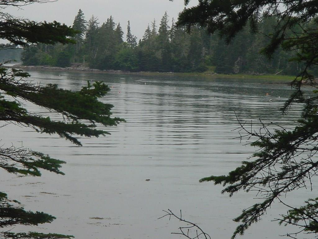 338 Davis Point Road Cushing, ME 04563 - Photo 18 of 35 Photo
