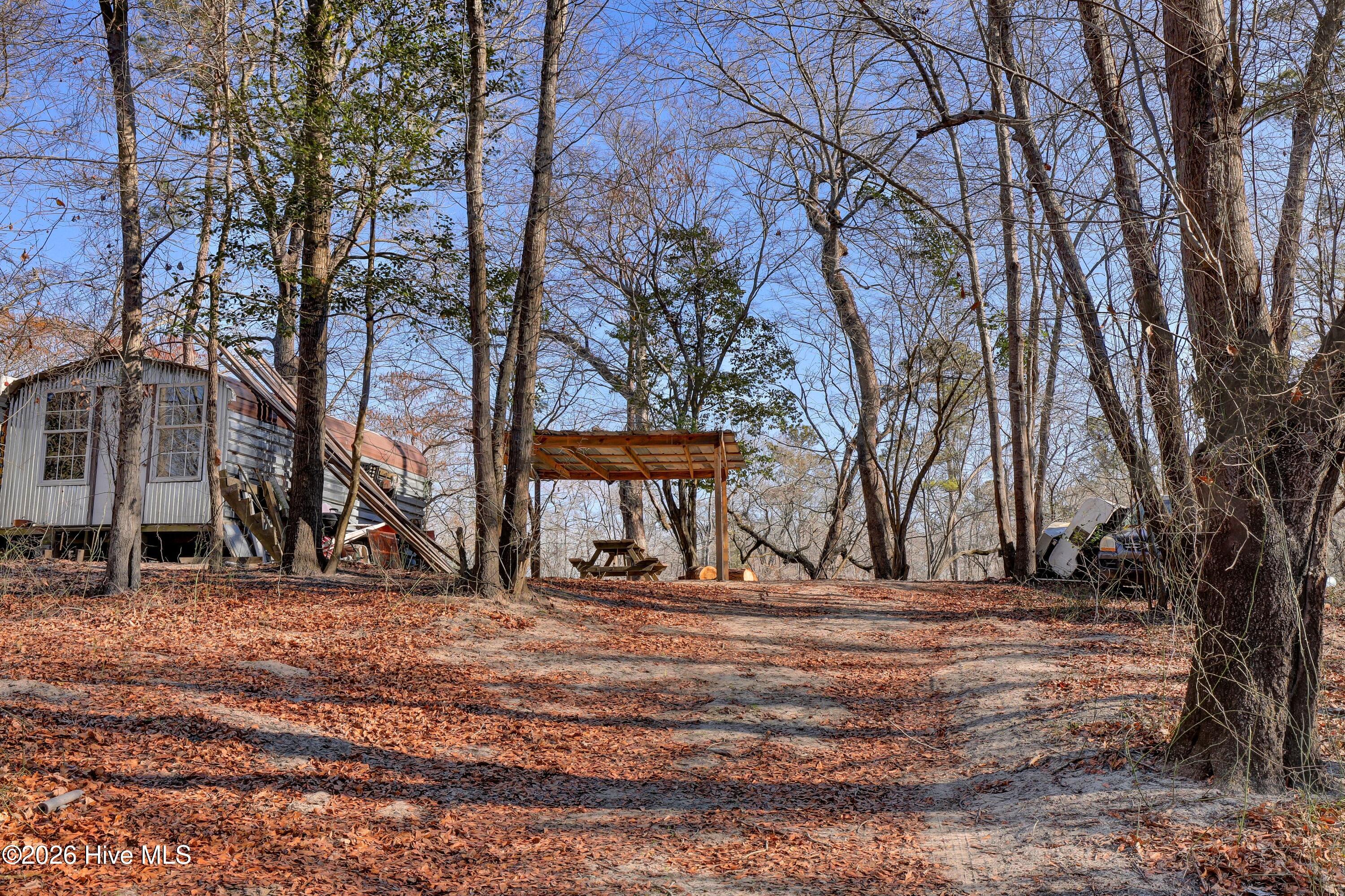 Lot 19 Ruddy Duck Lane Willard, NC 28478 - Photo 22 of 34 023_6g8a1572_364