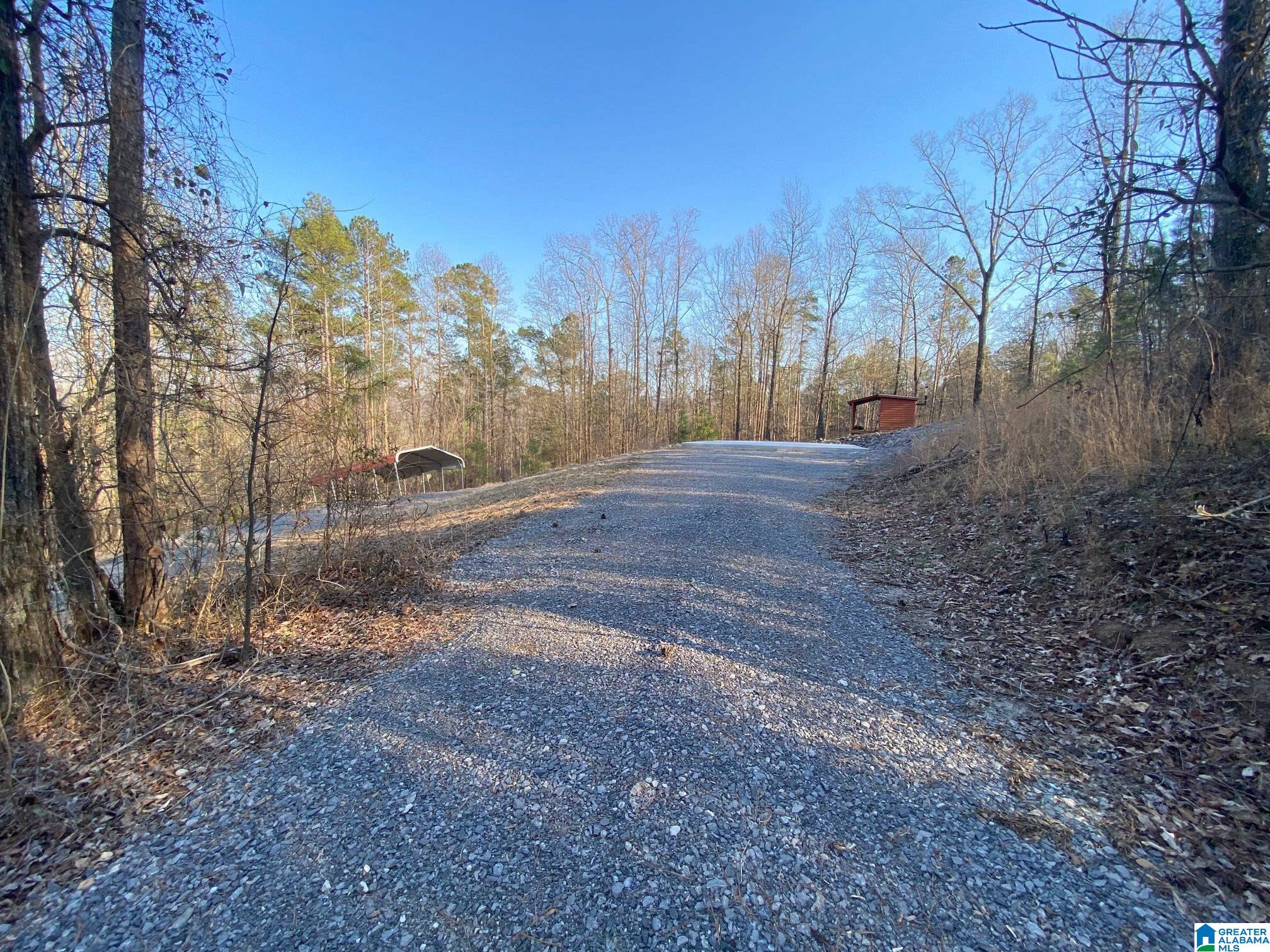 Pleasant Valley Road, Unit 2 92 Gallant, AL 35972 - Photo 4 of 14 Gallery Image 4