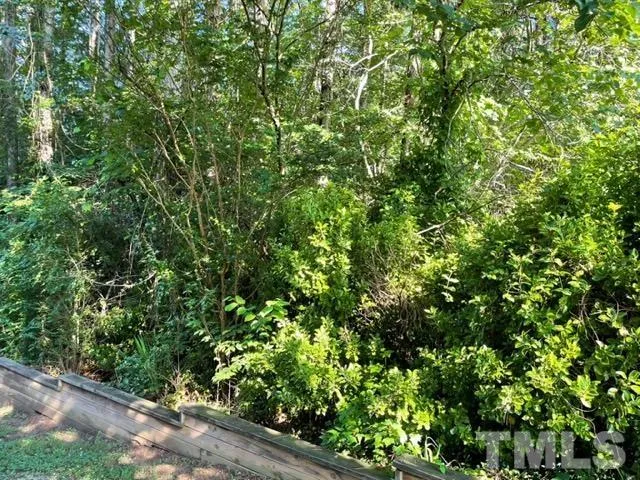 a view of a yard with plants