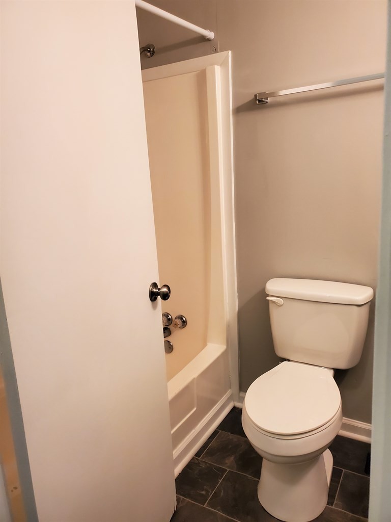 256 Green Shadow Road Cleveland, TN 37323 - Photo 8 of 20 a bathroom with a toilet and a shower