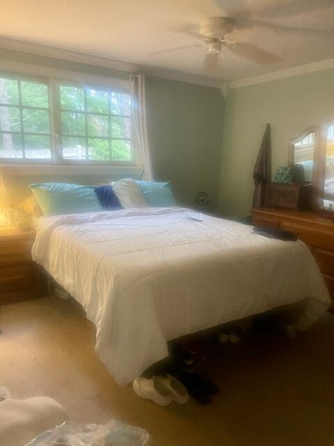 205 Higgins Crowell Road, Unit 3 West Yarmouth, MA 02673 - Photo 11 of 16 IMG_5382