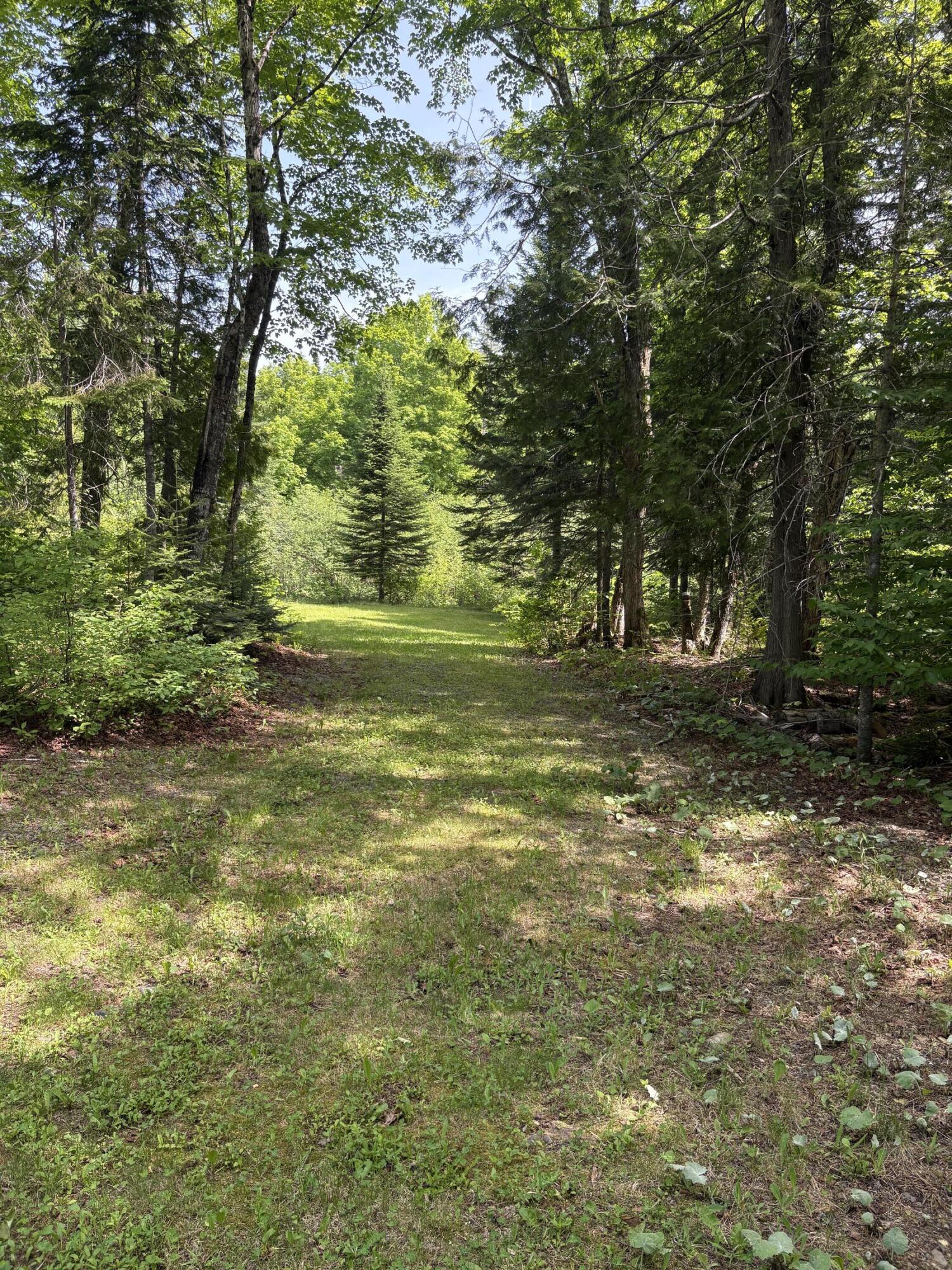 Lot 12 South South Branch Rd Tc Bridgewater, ME 04735 - Photo 40 of 41