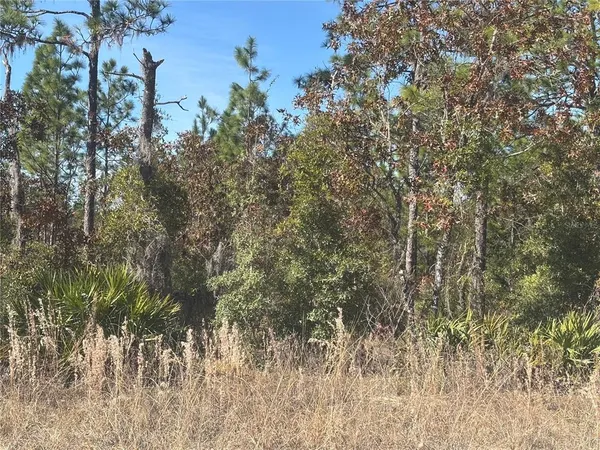 a view of a yard