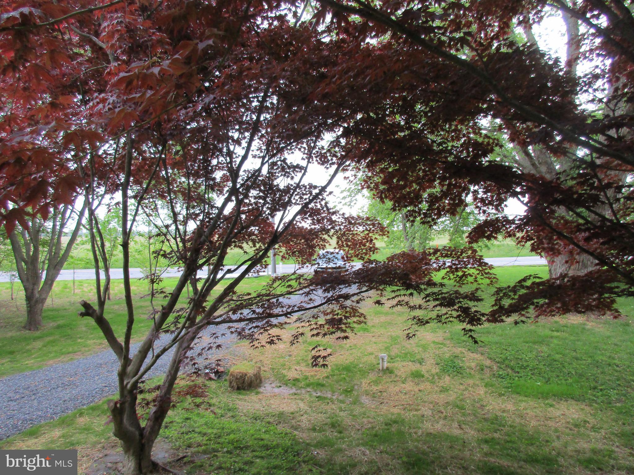 24519 Chestertown Road Chestertown, MD 21620 - Photo 21 of 24 Front Yard