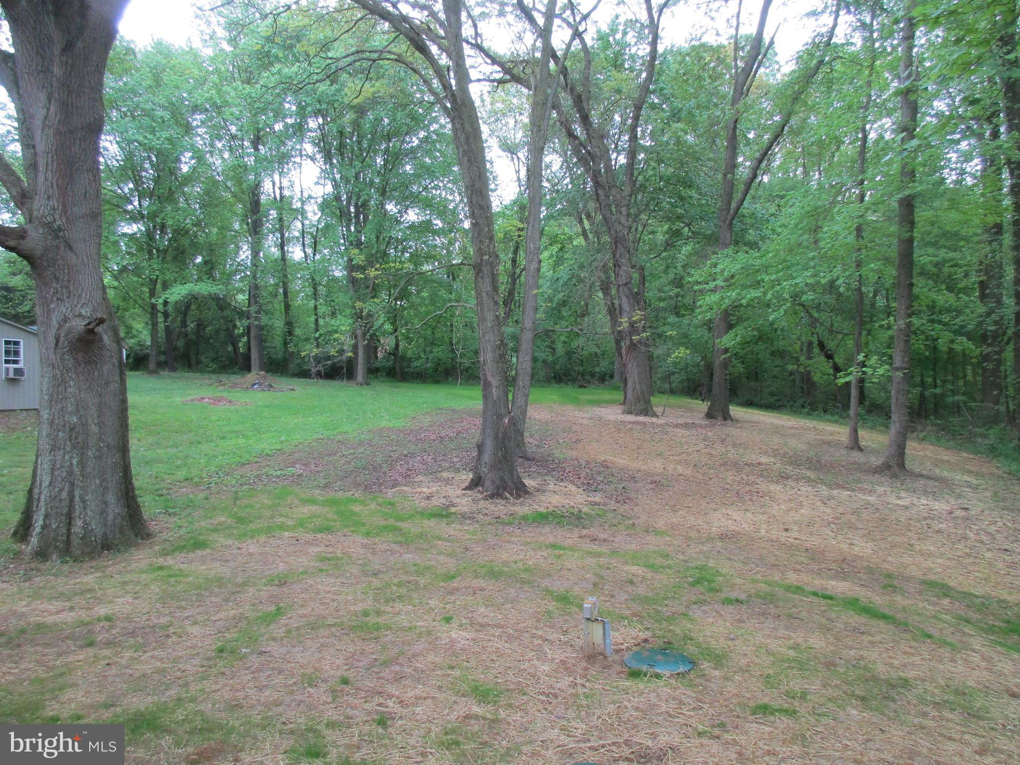 24519 Chestertown Road Chestertown, MD 21620 - Photo 23 of 24 Back Yard
