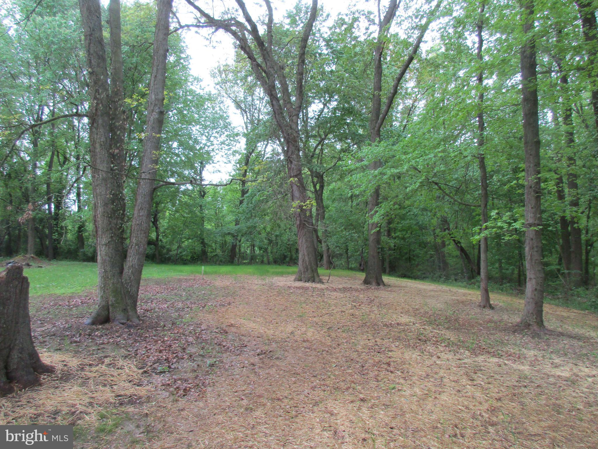 24519 Chestertown Road Chestertown, MD 21620 - Photo 24 of 24 Back Yard