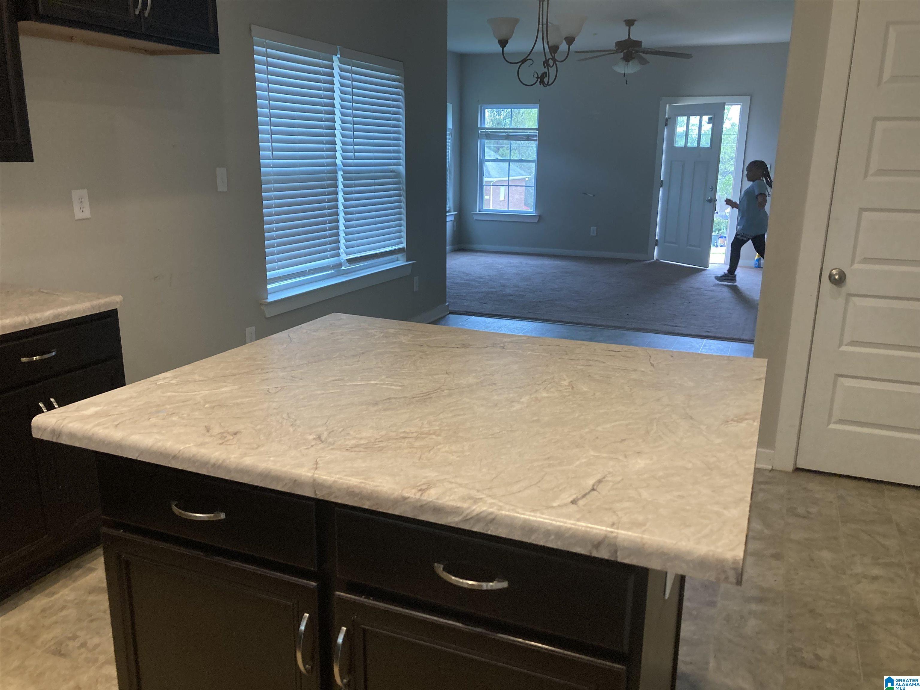 116 North Rim Road Toney, AL 35773 - Photo 11 of 23