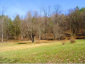19 Howe Road Newfane, VT 05362 - Photo 5 of 9