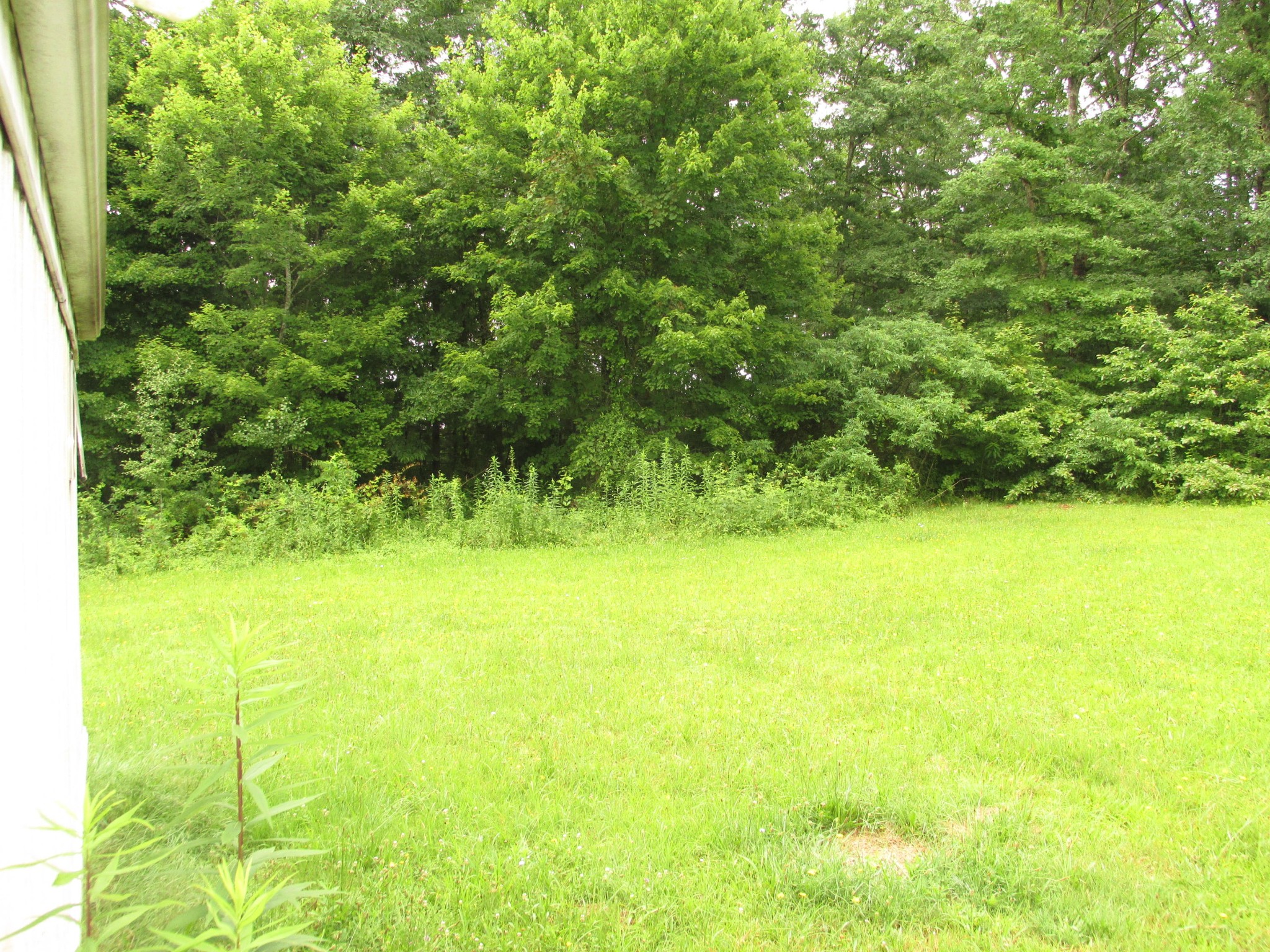 243 Rankin Road Deer Lodge, TN 37726 - Photo 38 of 39 Gallery Image 38