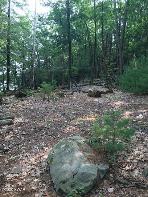Coutts Point Drive Paupack, PA 18451 - Photo 6 of 22