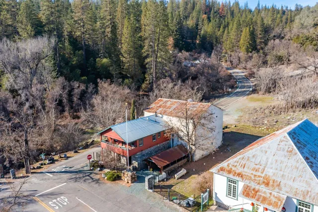 a view of a city with lush green forest