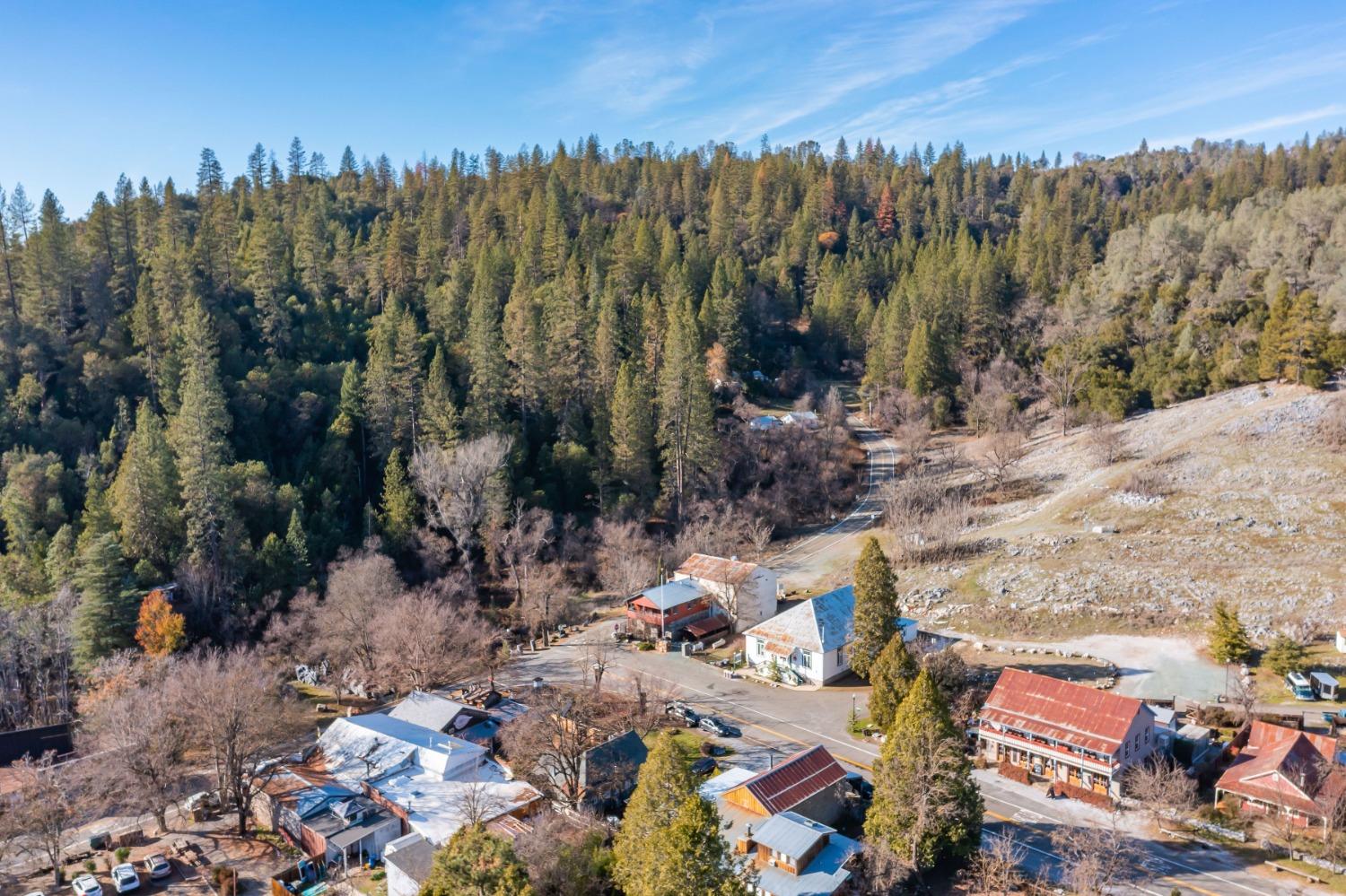 21335 Consolation Street Volcano, CA 95689 - Photo 41 of 41 a view of a lot of trees and cars parked in front of a house