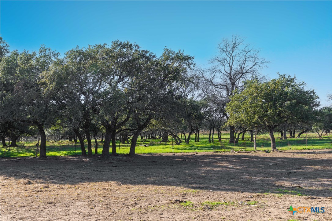 610 Heyser Road Gatesville, TX 76528 - Photo 31 of 46