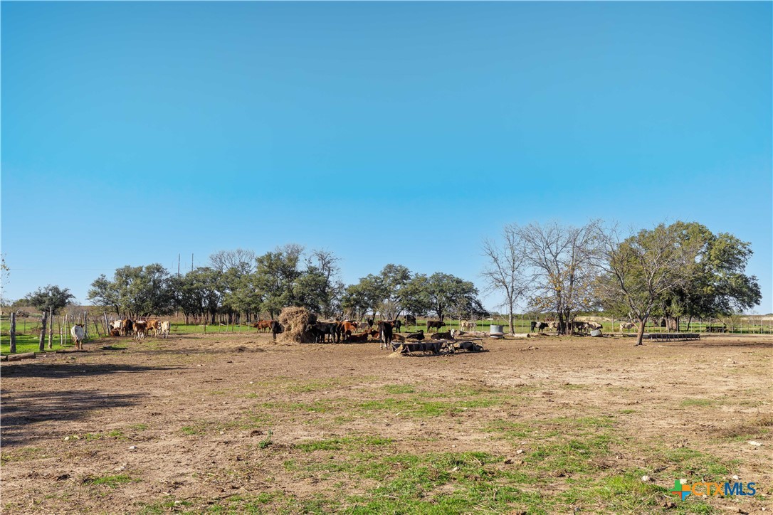 610 Heyser Road Gatesville, TX 76528 - Photo 32 of 46