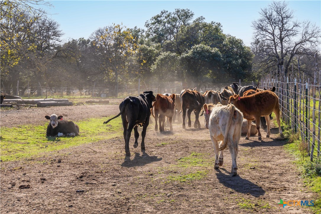 610 Heyser Road Gatesville, TX 76528 - Photo 35 of 46