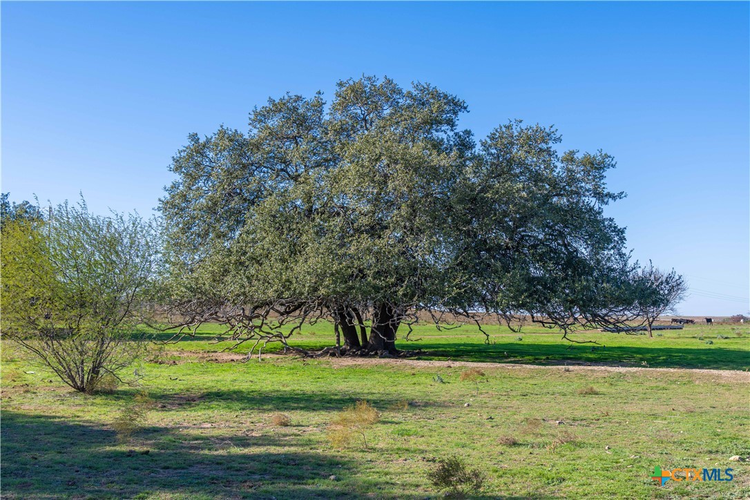 610 Heyser Road Gatesville, TX 76528 - Photo 40 of 46