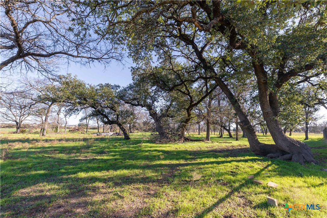 610 Heyser Road Gatesville, TX 76528 - Photo 4 of 46