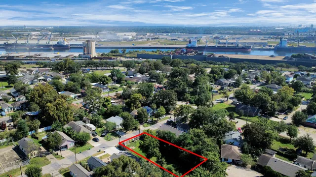 a picture of flowers