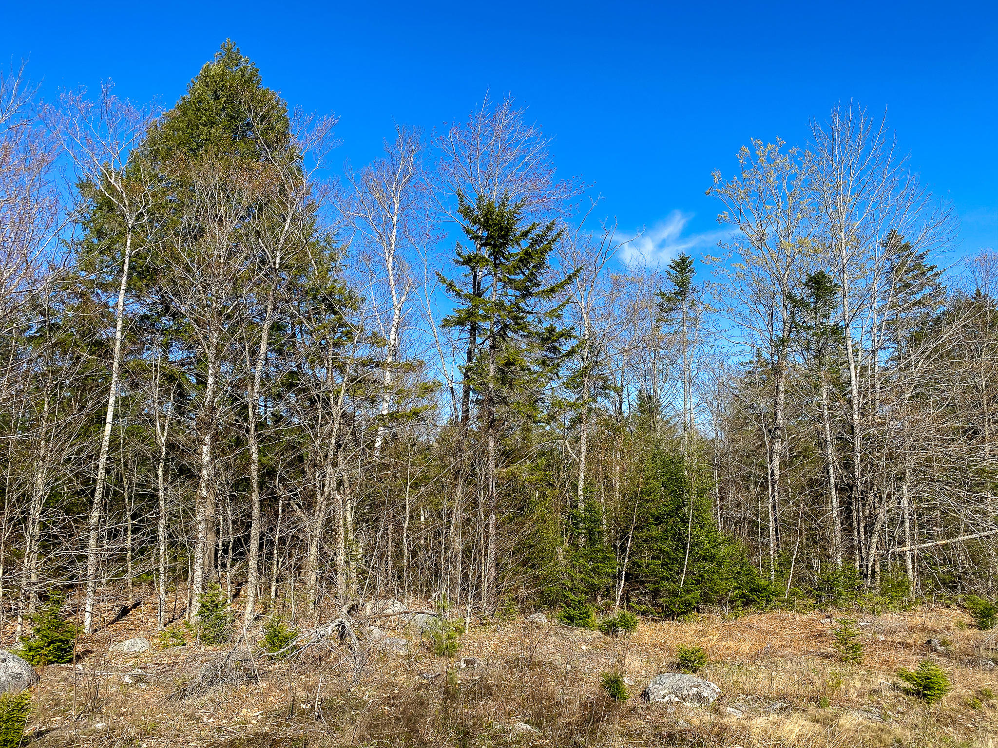 1510 Otis Road Ellsworth, ME 04605 - Photo 7 of 20 IMG_3149