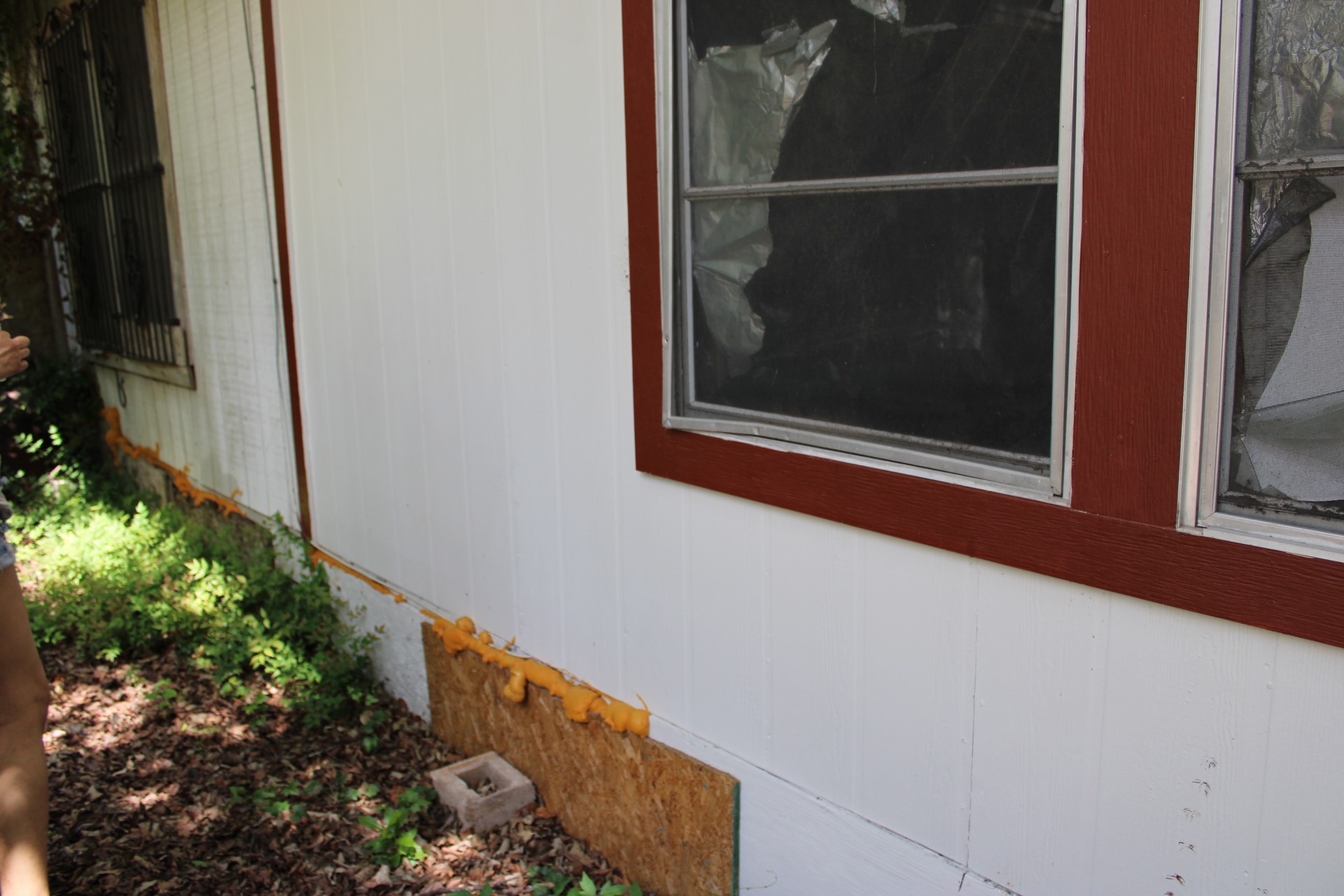 3017 Lyons Road Austin, TX 78702 - Photo 13 of 16 The property features exterior siding, framed windows, and surrounding greenery