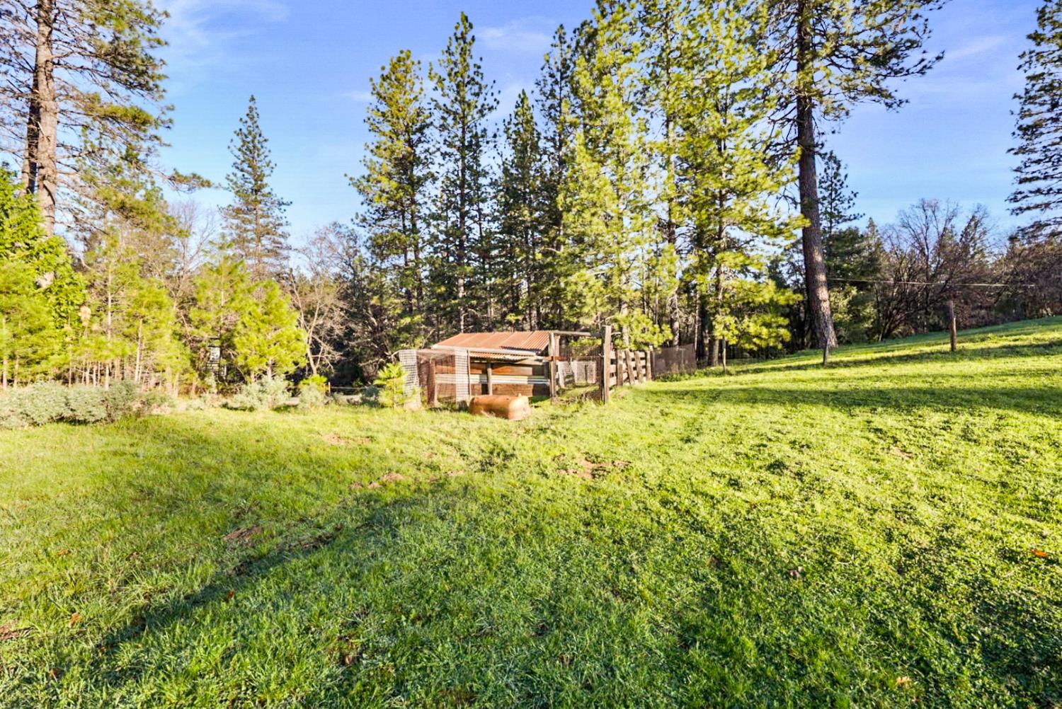 19634 State Rte 26 West Point, CA 95255 - Photo 31 of 56