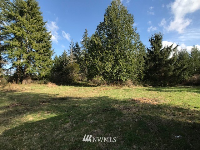 13251 West Cloquallum Road Elma, WA 98541 - Photo 1 of 6 Gallery Image 1