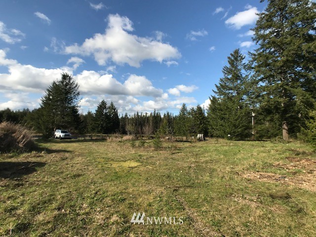 13251 West Cloquallum Road Elma, WA 98541 - Photo 2 of 6 Gallery Image 2
